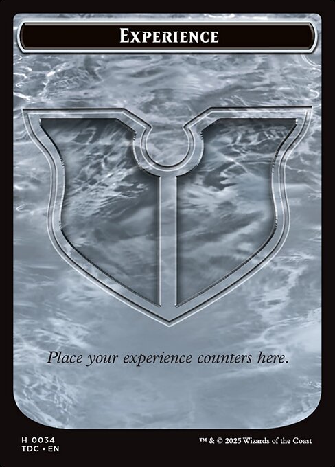 Experience